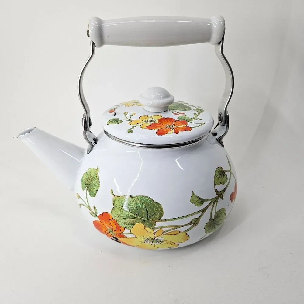 Vintage teapot enamel